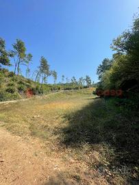 Rustico/Casale/Corte Anagni [Cod. rif 3169624VRG]