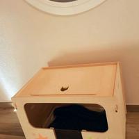 Nursery gatto