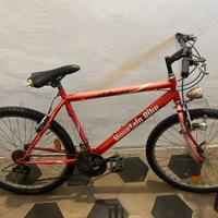 Bici bici mountain bike