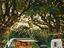 Immagine 25