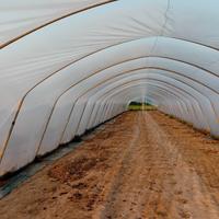 SERRE,MINI TUNNEL,TELO,PACIAMATURA 