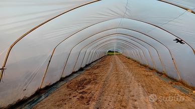 SERRE,MINI TUNNEL,TELO,PACIAMATURA 