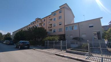 Via Alfieri-stanze per studentesse-zona Vazzieri