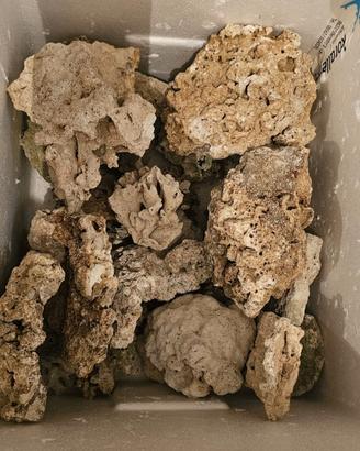 Rocce acquario marino