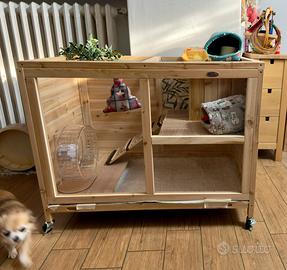 Teca gabbia recinto per roditori riccio africano