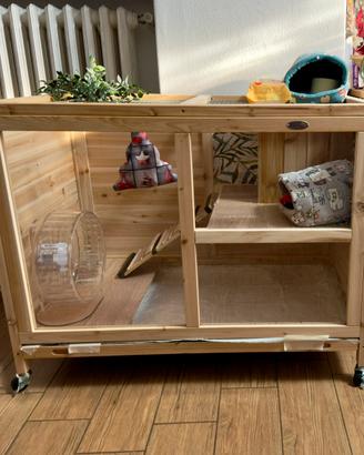 Teca gabbia recinto per roditori riccio africano