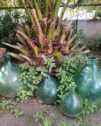 Damigiane decorative varie dimensioni.