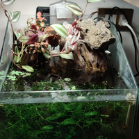 Acquari completi, maturi già avviati