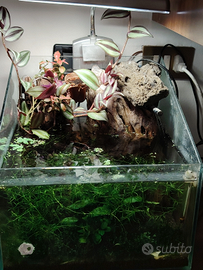 Acquari completi, maturi già avviati