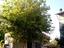 Immagine 21