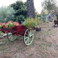 Carretto antico in legno