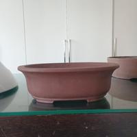 vaso bonsai artigianele