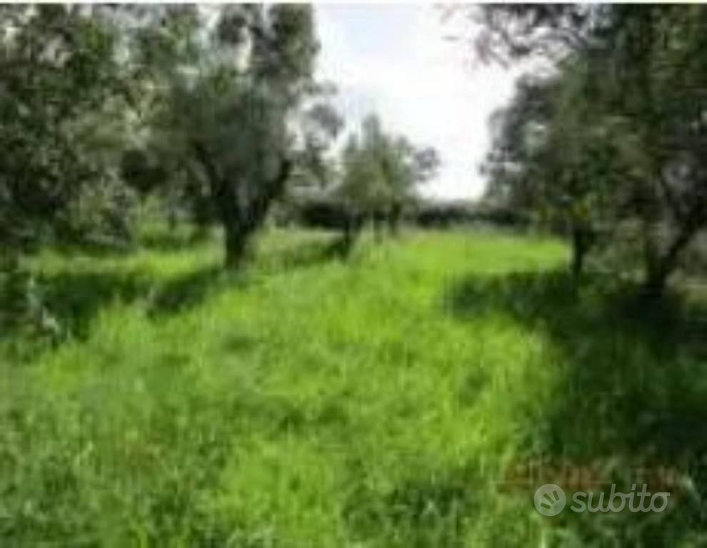 Immobile in asta di 1540 m² a Lamezia Terme - Vista 2