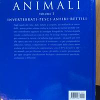 Enciclopedia  per ragazzi