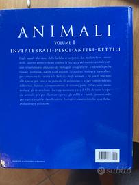 Enciclopedia  per ragazzi