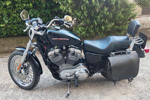 HARLEY DAVIDSON Sportster 883 Low