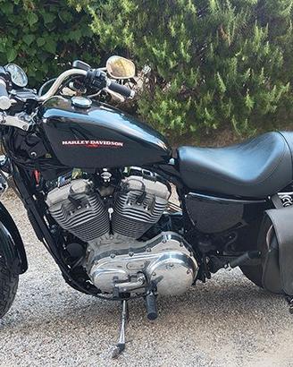 HARLEY DAVIDSON Sportster 883 Low