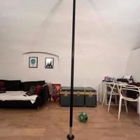 palo Lupit G2 pole dance