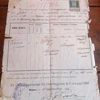 Certificato Di Battesimo Trieste anno 1893