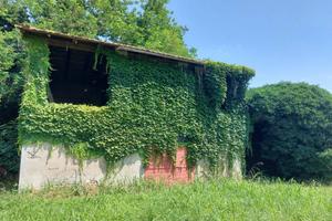 Rustico / Casale di 80 m² con 3 locali a Molinella