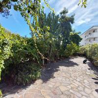 Ampio appartamento con corte 150 mt dal mare