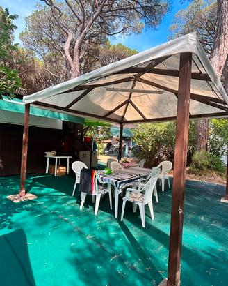 Gazebo 4x4