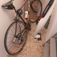 Bici da corsa olmo