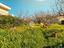 Immagine 25