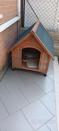 cuccia cane
