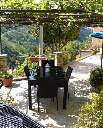 Casa della camelia