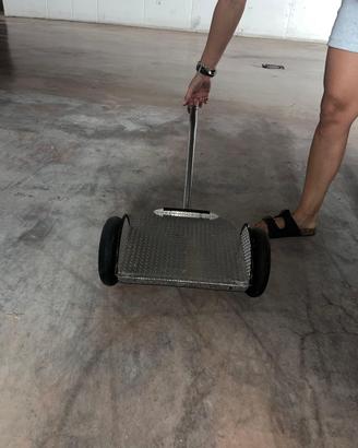 Carrello sedia a rotelle