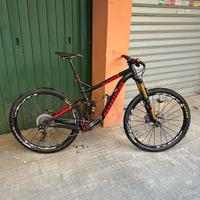 Niner L 29