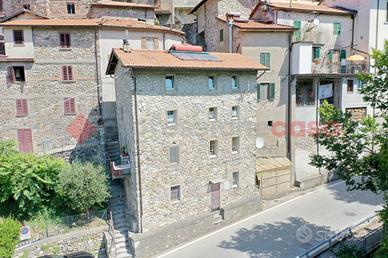 Casa Indipendente Minucciano [Cod.378VRG]