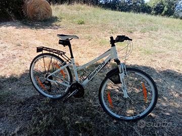 Bicicletta da donna Bianchi