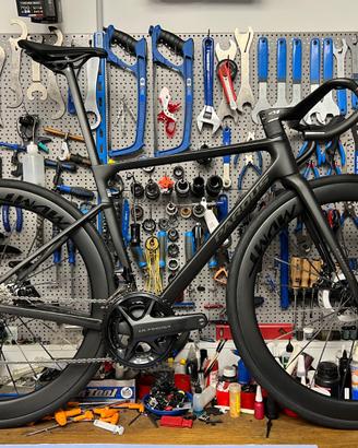 Bici da strada Pardus Robin Evo taglia S