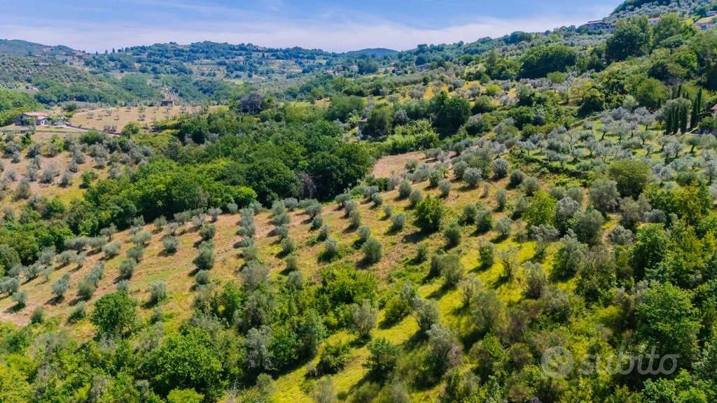 Terreno di 17299 m² a Mompeo - Vista 2