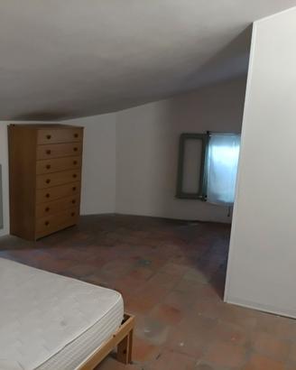 Disponibile da subito