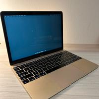 MacBook Air (retina 12-inch Early 2015)