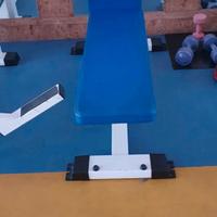 Palestra completa
