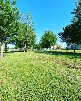 Casa indipendente con ampio giardino