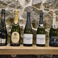 Spumante 8 bottiglie vintage collezione lotto