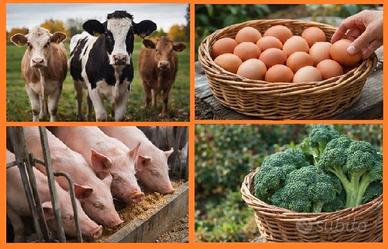 Operaio agricolo o per cura allevamento