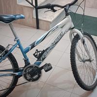 bicicletta adulto