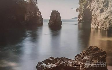 Foto su tela