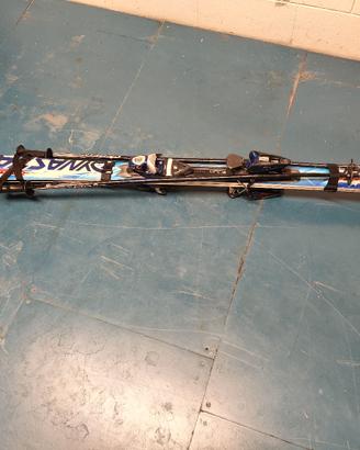Sci Dynastar