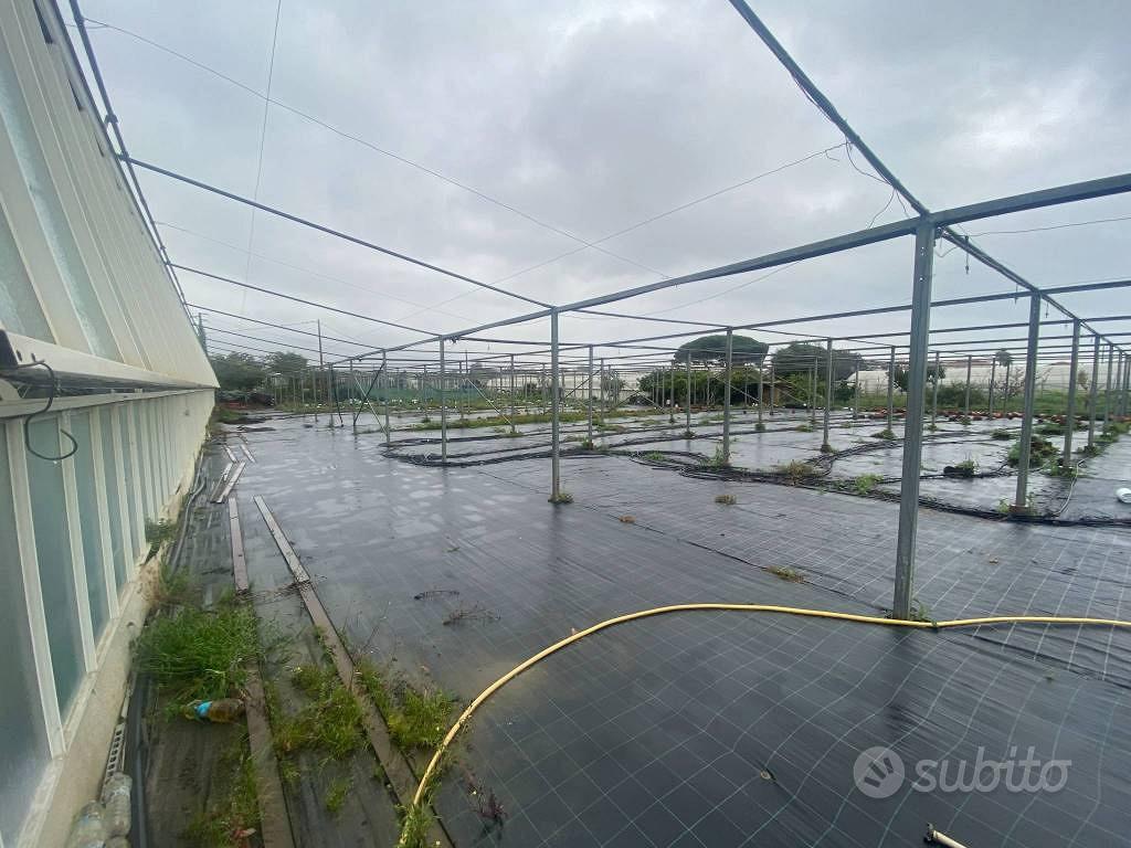 Terreno di 3910 m² a Albenga - Vista 3
