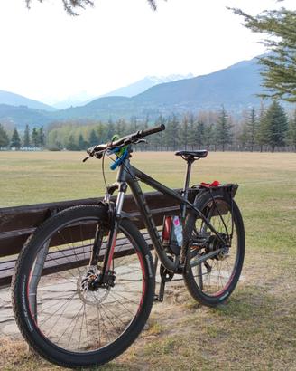 E-bike MTB Focus Whistler 29 Elettrica