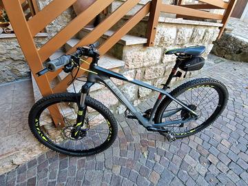 MOUNTAIN  BIKE CUBE telaio in CARBONIO