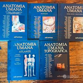 Trattato di Anatomia Umana Nuovo