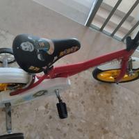 Bicicletta 12